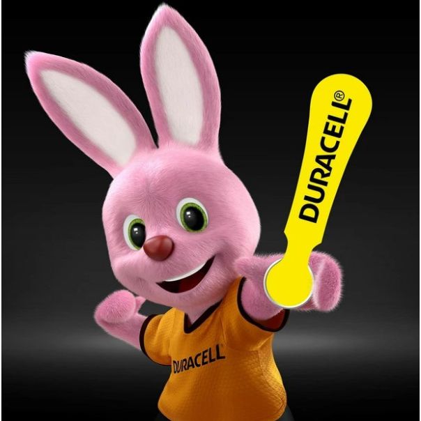 DURACELL Baterija Hearing Aid 10/PR70 1,45V, za slusni aparat, 6 kom (cena po komadu) - 43839