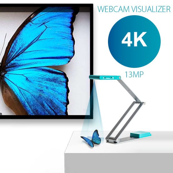 IRIS can Visualizer 7 - EP2593848