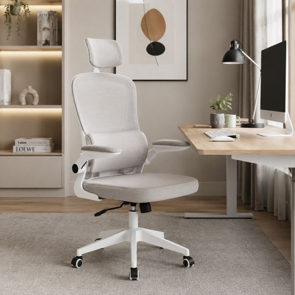 MODUL Radna stolica Ergoforma siva oc-656 - EP3127965