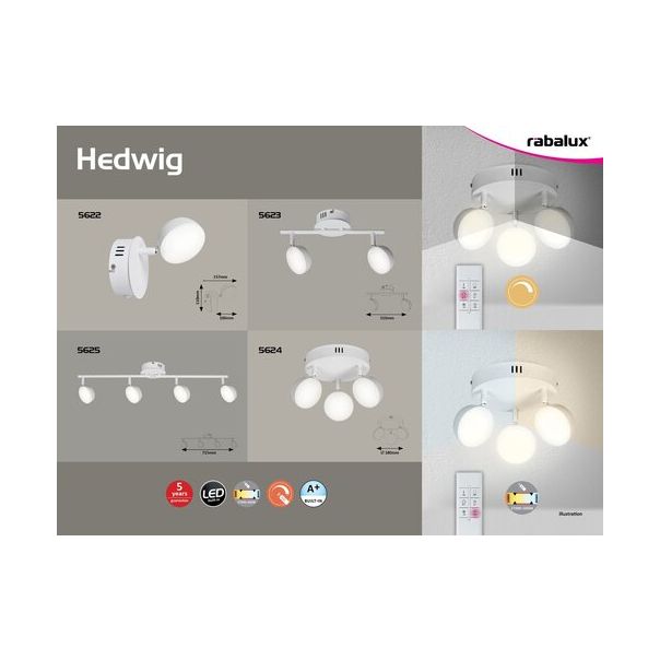 RABALUX Spot rasveta Hedwig LED 4X 4W - 5625