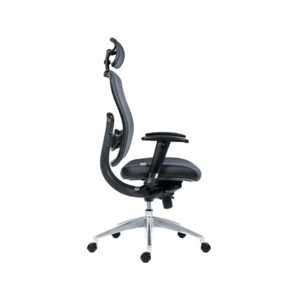 Daktilo stolica Oklahoma PDH - C361