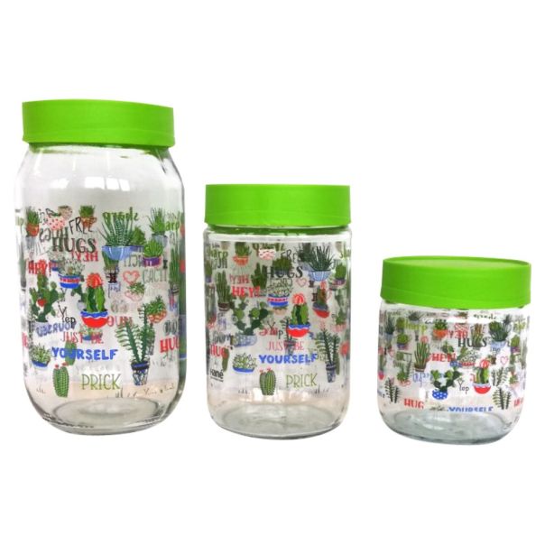 HANE Tegle sa poklopcem decor cactus set 3/1 - 330150