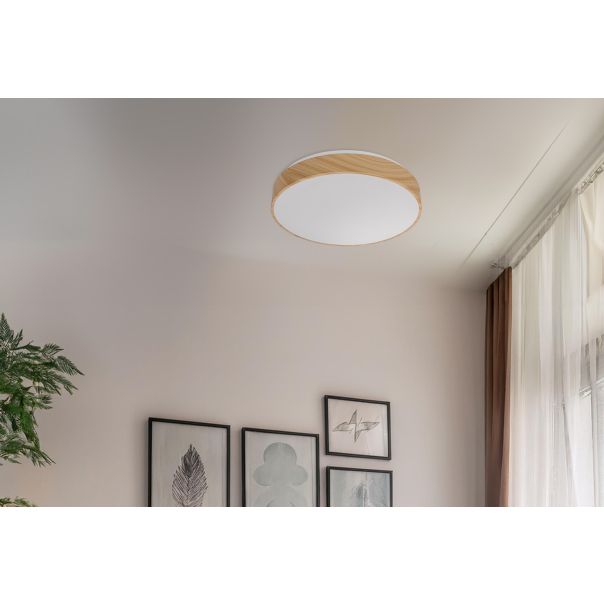 Figaro Plafonjera sa Daljinskim upravljačem 24W LED 3000/4500/6000K 38cm - 15162-1
