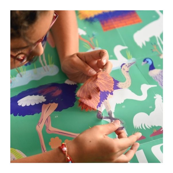 POPPIK Edukativni poster s nalepnicama Otkrića: Ptice - DIS017