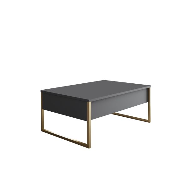 HANAH HOME Set nameštaja za dnevnu sobu Luxe, antracit/zlatna - 618BLY1184