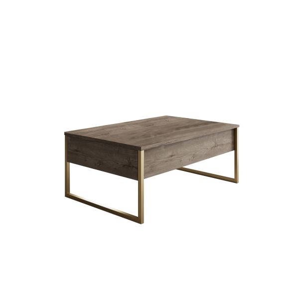 HANAH HOME Set nameštaja za dnevnu sobu Luxe, braon/zlatna - 618BLY1186