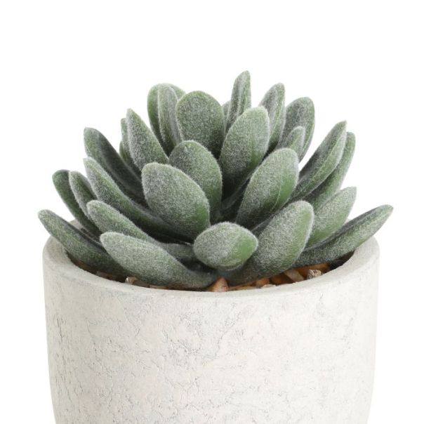 EGLO Veštačka biljka 12x8cm Chitose - 428011
