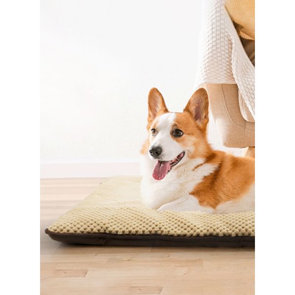 PAWISE Prostirka za pse Teflon 70x43cm - 12382