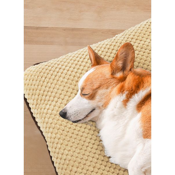 PAWISE Prostirka za pse Teflon 70x43cm - 12382