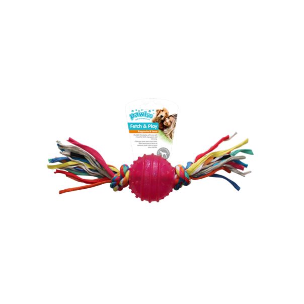 PAWISE Lopta na kanapu tpr 24cm - 14541