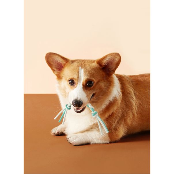 PAWISE Kanap za glodanje 22cm S - 14631