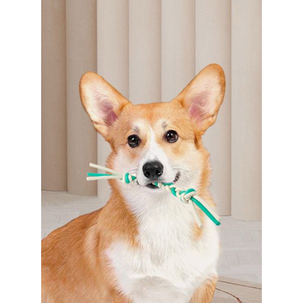 PAWISE kanap za glodanje 30cm M - 14632-1