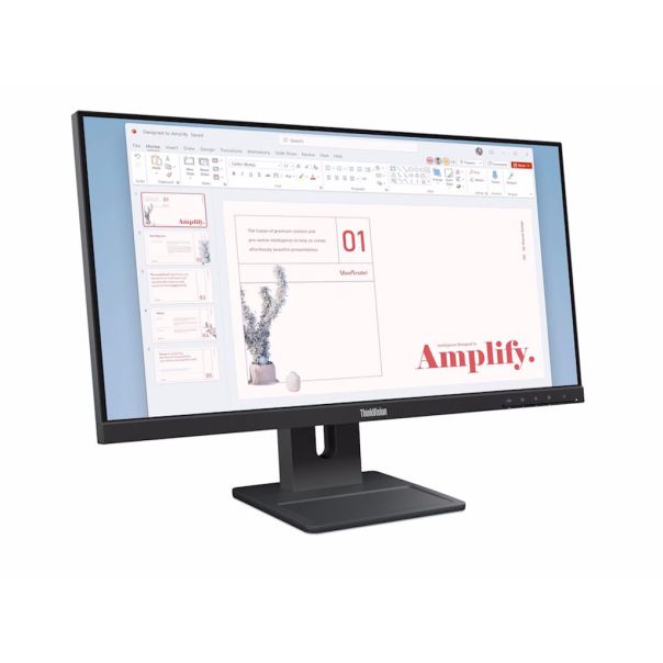 Monitor LENOVO ThinkVision E24-40 23.8