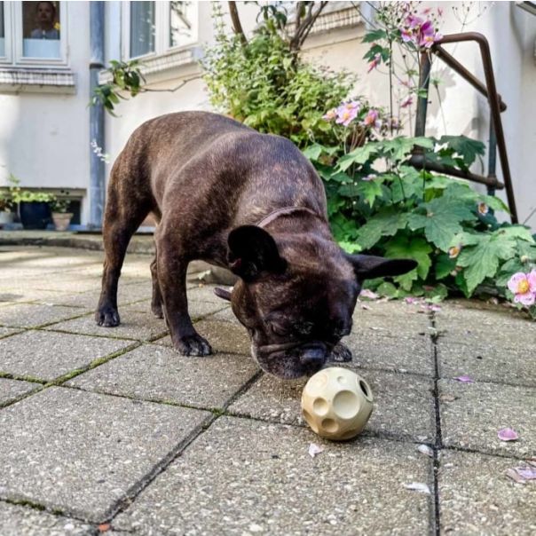 Hevea Luna Lopta igračka za pse, Menta - 652473
