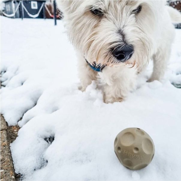 Hevea Luna Lopta igračka za pse, Menta - 652473
