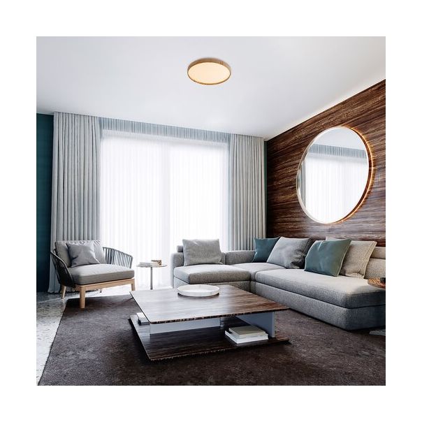 RABALUX Plafonjera Leana LED 24W - 6580