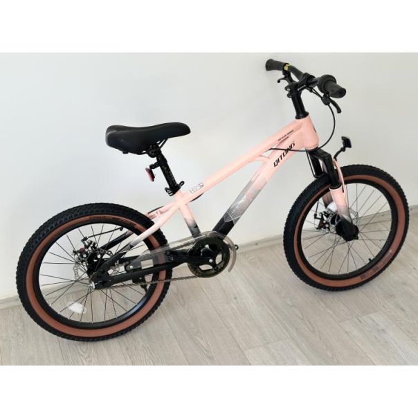 WINNER BIKE BIC.20