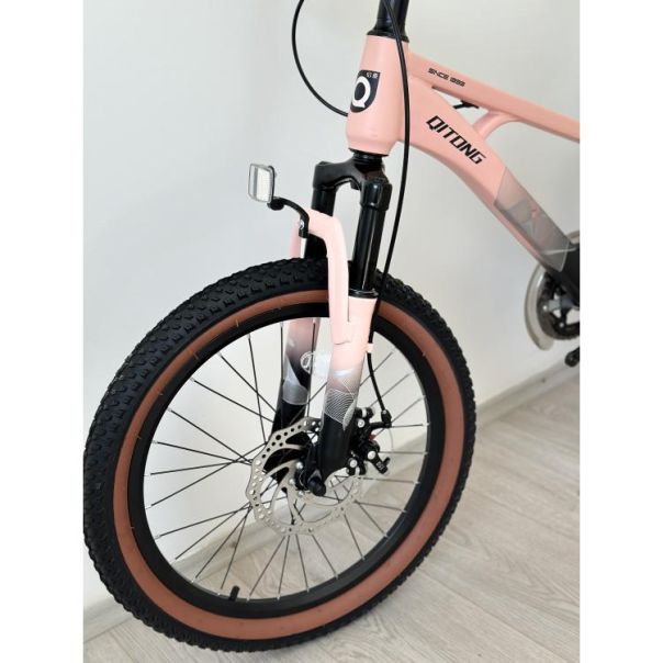 WINNER BIKE BIC.20