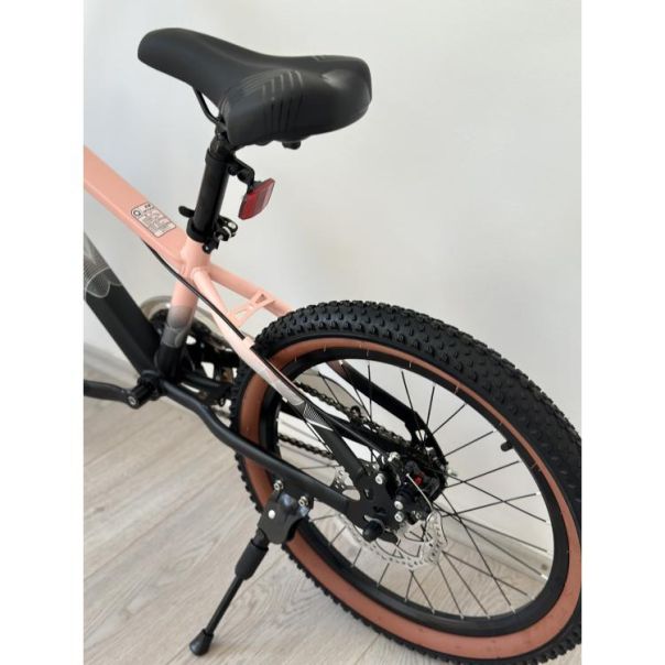 WINNER BIKE BIC.20