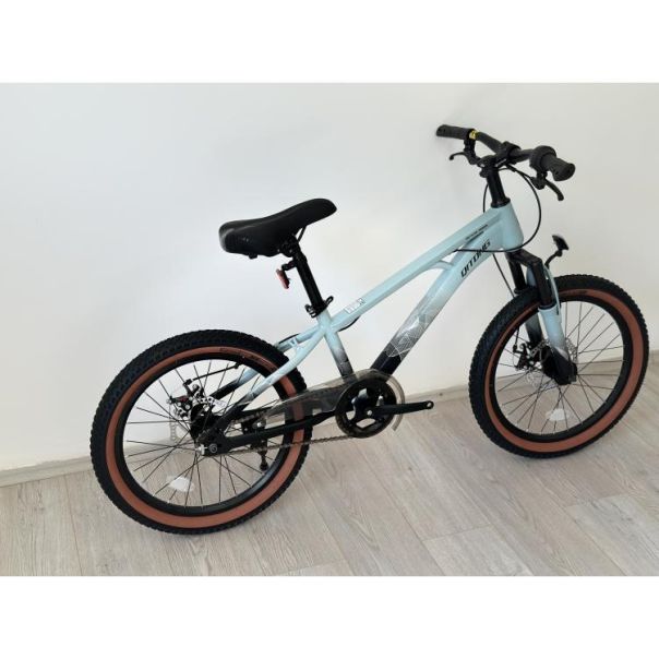 WINNER BIKE BIC.20