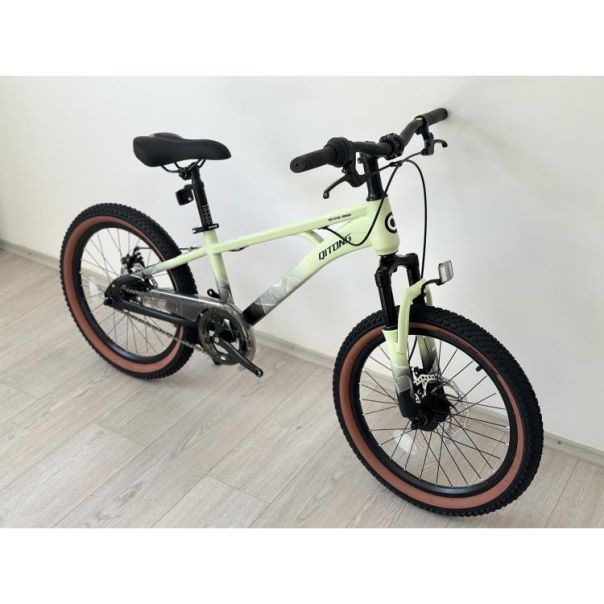WINNER BIKE BIC.20