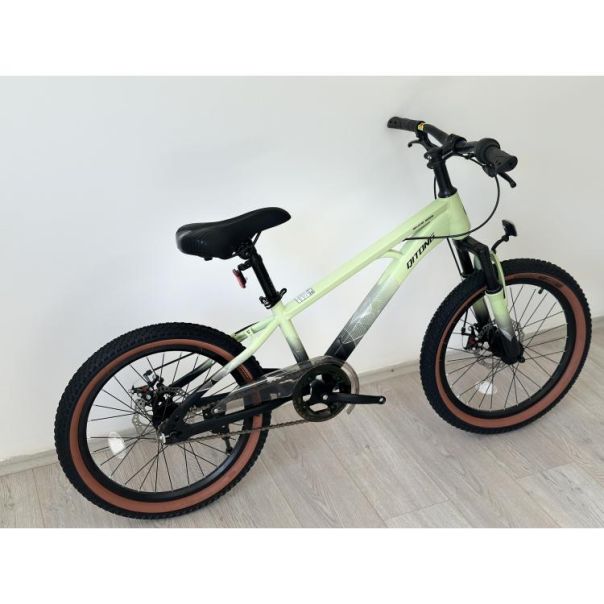 WINNER BIKE BIC.20