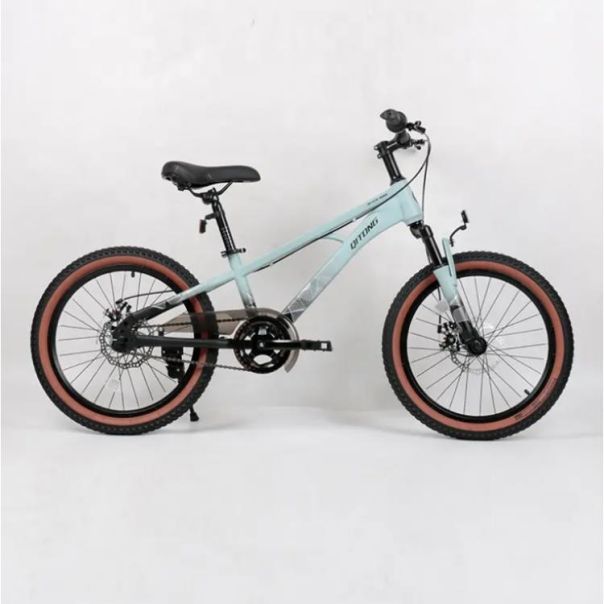 WINNER BIKE BIC.20