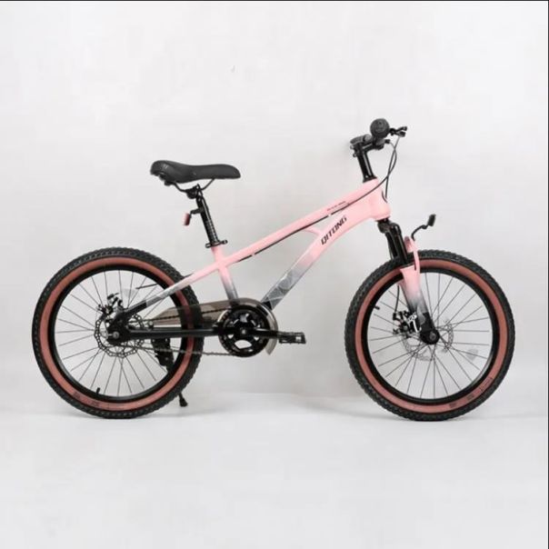WINNER BIKE BIC.20