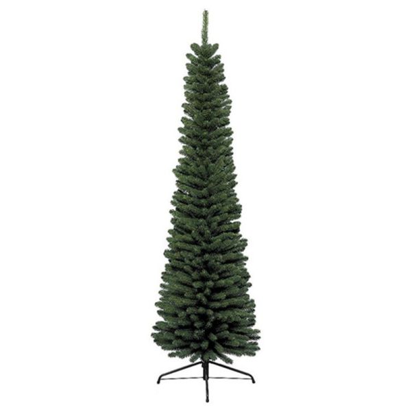 LEMON PLANET Novogodišnja jelka 180cm Pencil Pine - 111515-2
