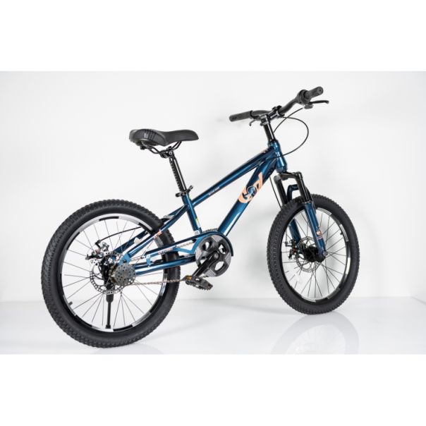WINNER BIKE BIC.20/1- TN24Q22- BLUE - EP2870684