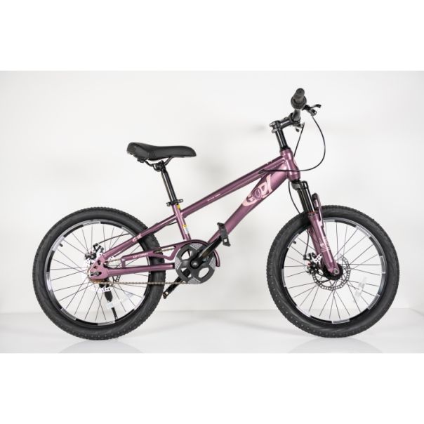 WINNER BIKE BIC.20/1-TN24Q22-PURPLE - EP2870681