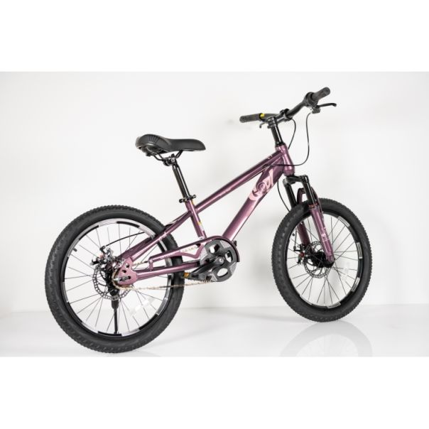 WINNER BIKE BIC.20/1-TN24Q22-PURPLE - EP2870681
