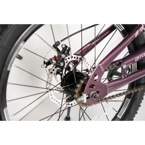 WINNER BIKE BIC.20/1-TN24Q22-PURPLE - EP2870681