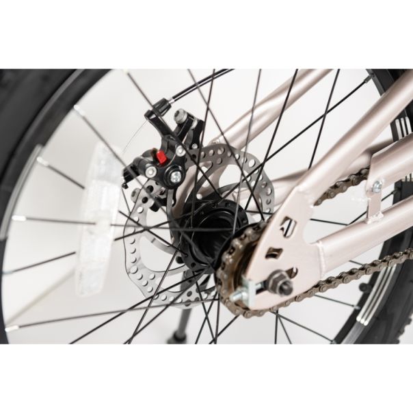 WINNER BIKE BIC.20/1 -TN24Q22- CHAMPAGNE/PINK - EP2870678