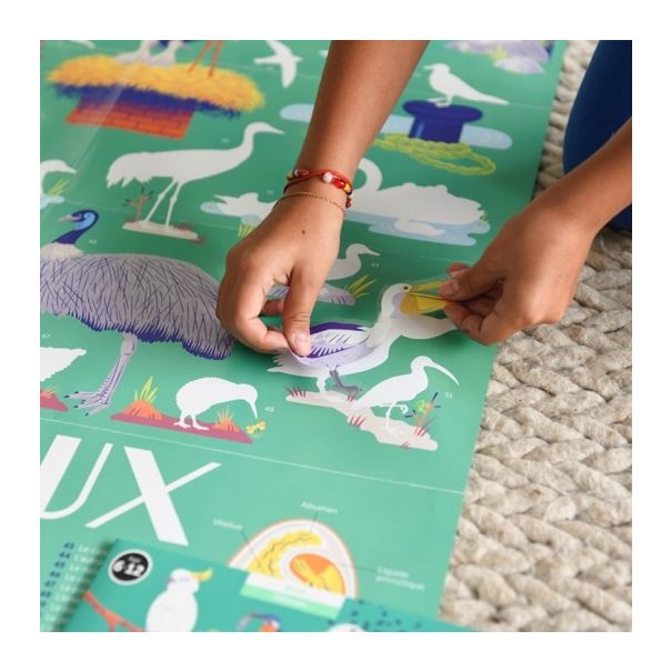 POPPIK Edukativni poster s nalepnicama Otkrića: Ptice - DIS017