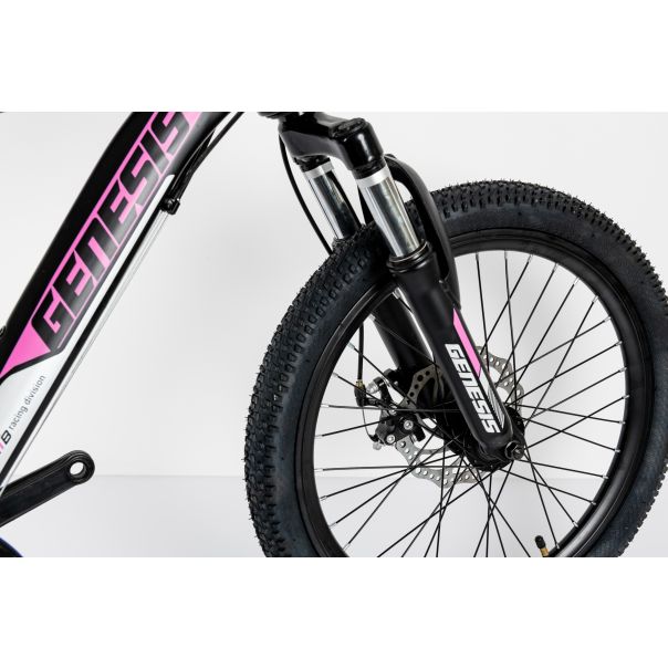 WINNER BIKE BIC.20