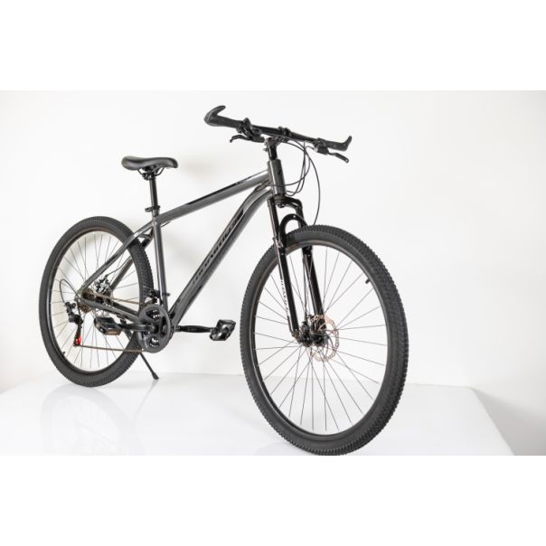 WINNER BIKE BIC. 29