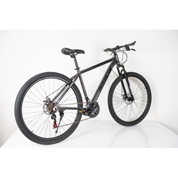 WINNER BIKE BIC. 29