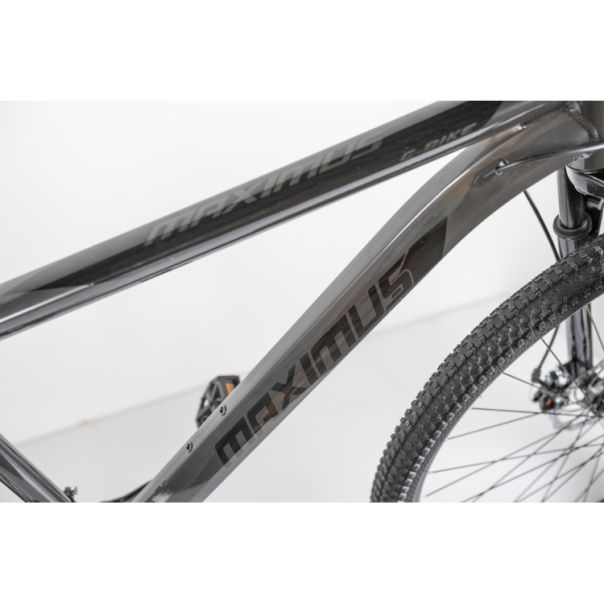 WINNER BIKE BIC. 29