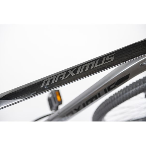 WINNER BIKE BIC. 29