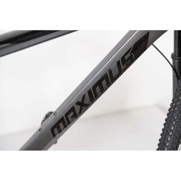 WINNER BIKE BIC. 29