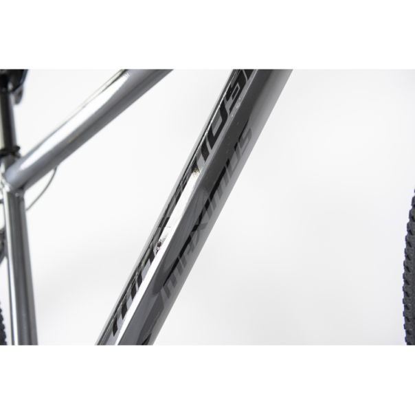 WINNER BIKE BIC. 29
