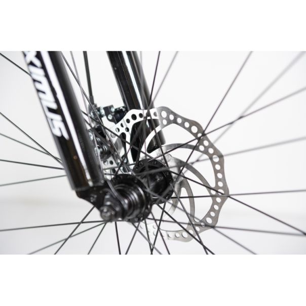 WINNER BIKE BIC. 29