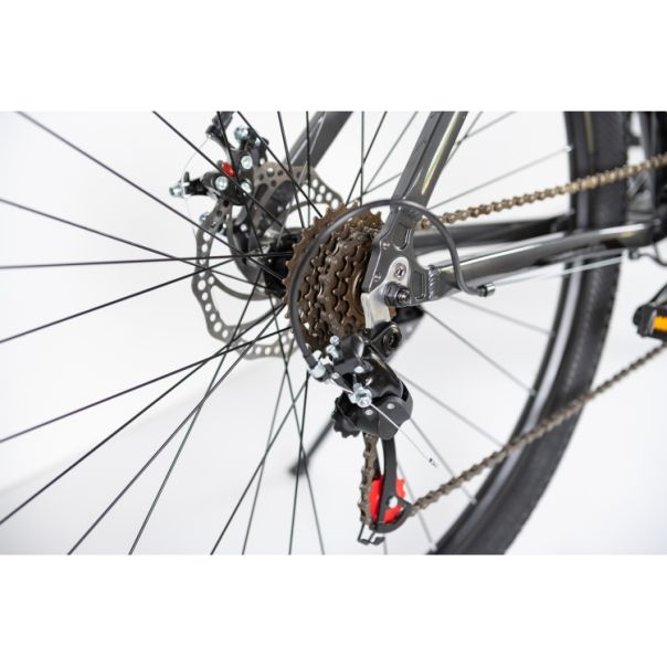 WINNER BIKE BIC. 29