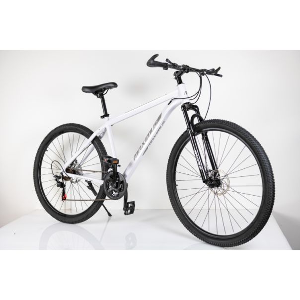 WINNER BIKE BIC. 29