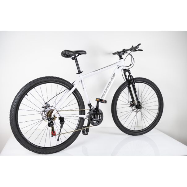 WINNER BIKE BIC. 29