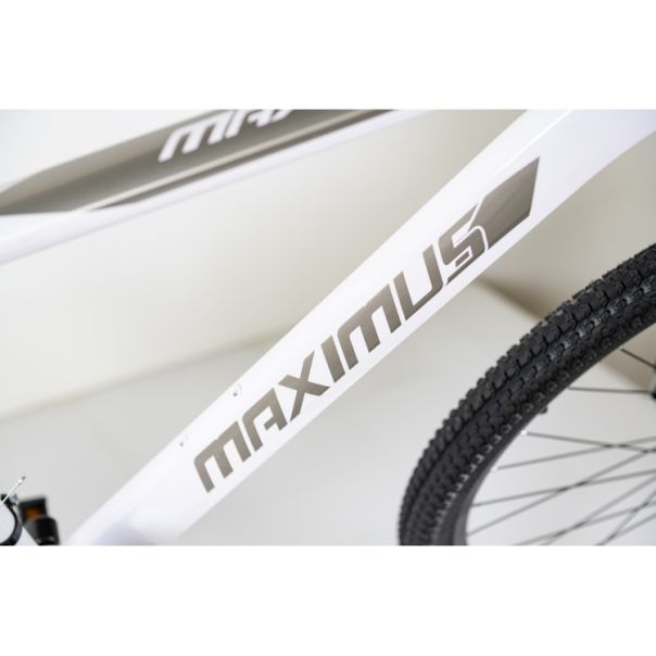 WINNER BIKE BIC. 29