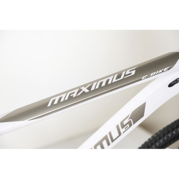 WINNER BIKE BIC. 29
