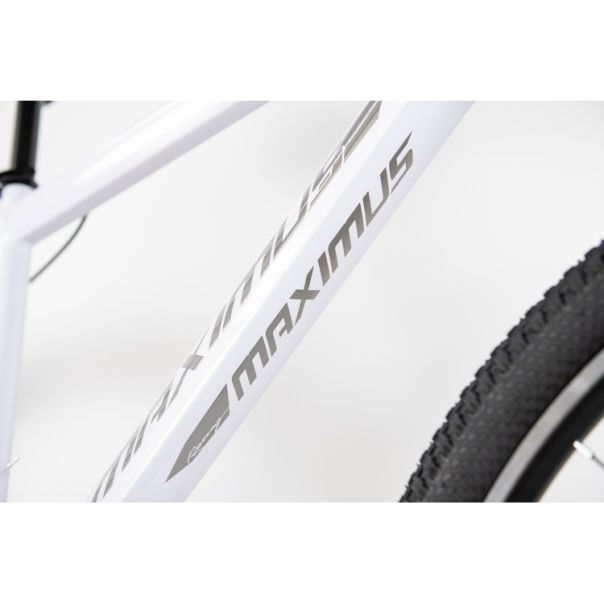 WINNER BIKE BIC. 29
