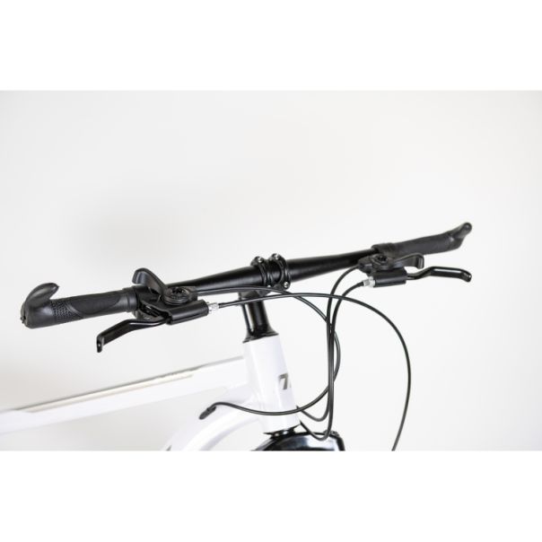 WINNER BIKE BIC. 29